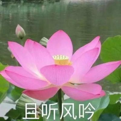 x战娘2跳过版下载