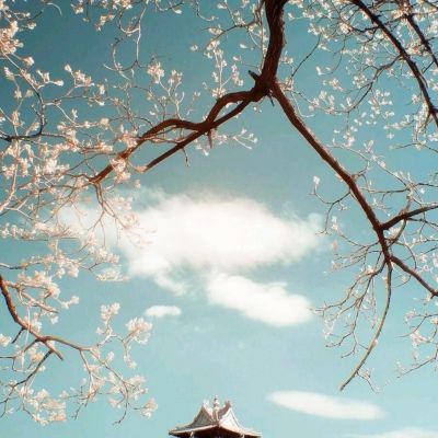 指尖骑士x手机版下载